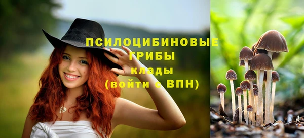 прущие крисы Инсар