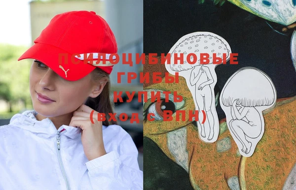тгк Иннополис