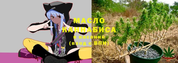 тгк Иннополис