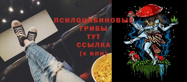 тгк Иннополис