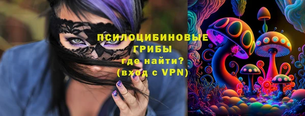 прущие крисы Инсар