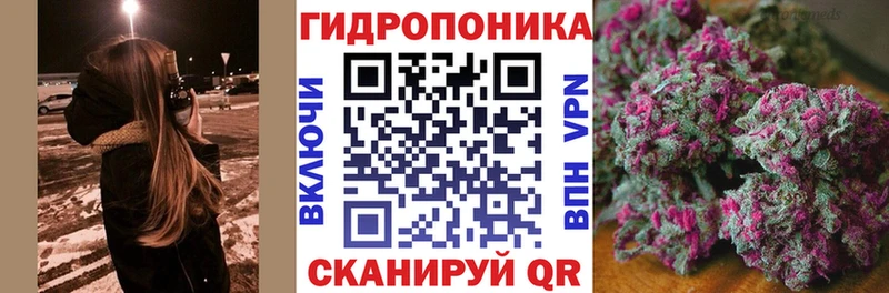 KRAKEN зеркало  Ногинск  Марихуана White Widow  дарнет шоп 